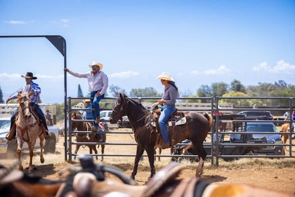 Ranch Work Jean